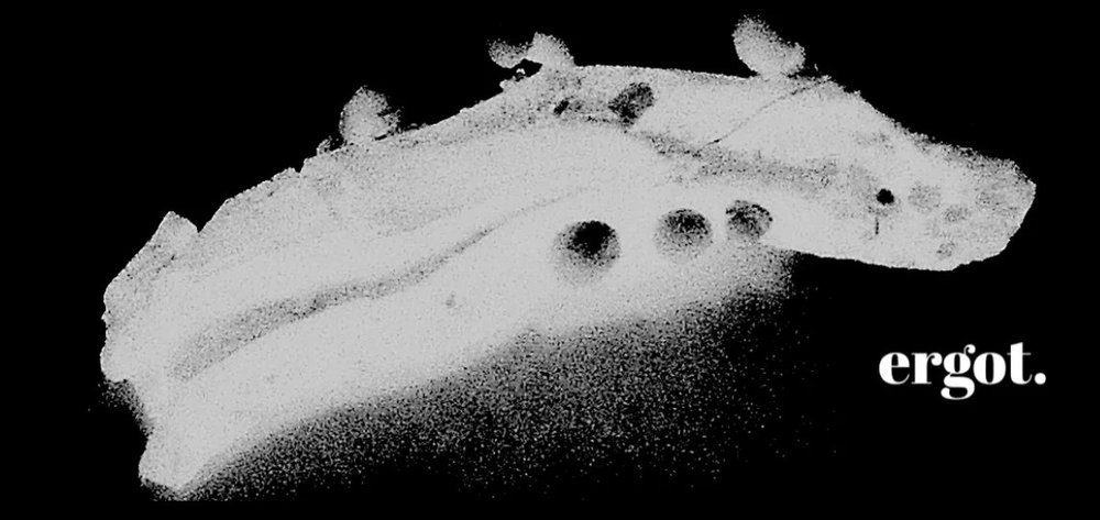 Ergot Press &mdash; logo